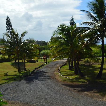God'S Peace Of Maui Bed and Breakfast Makawao Kamer foto