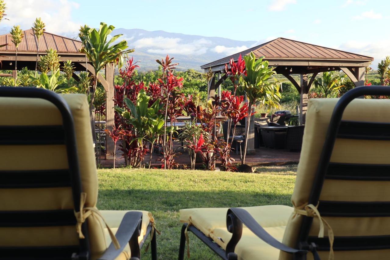 God'S Peace Of Maui Bed and Breakfast Makawao Buitenkant foto