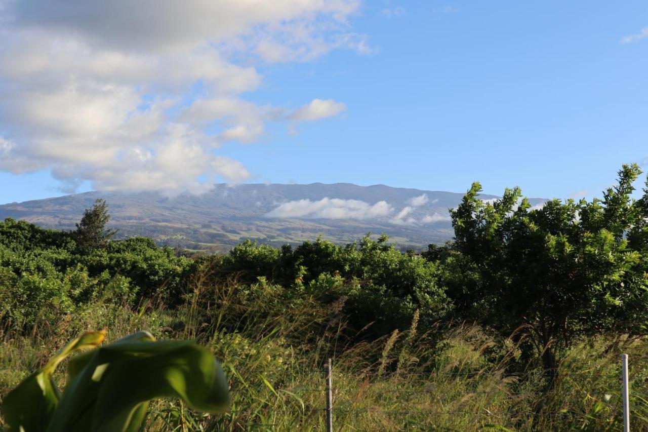 God'S Peace Of Maui Bed and Breakfast Makawao Buitenkant foto
