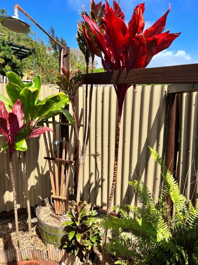 God'S Peace Of Maui Bed and Breakfast Makawao Buitenkant foto
