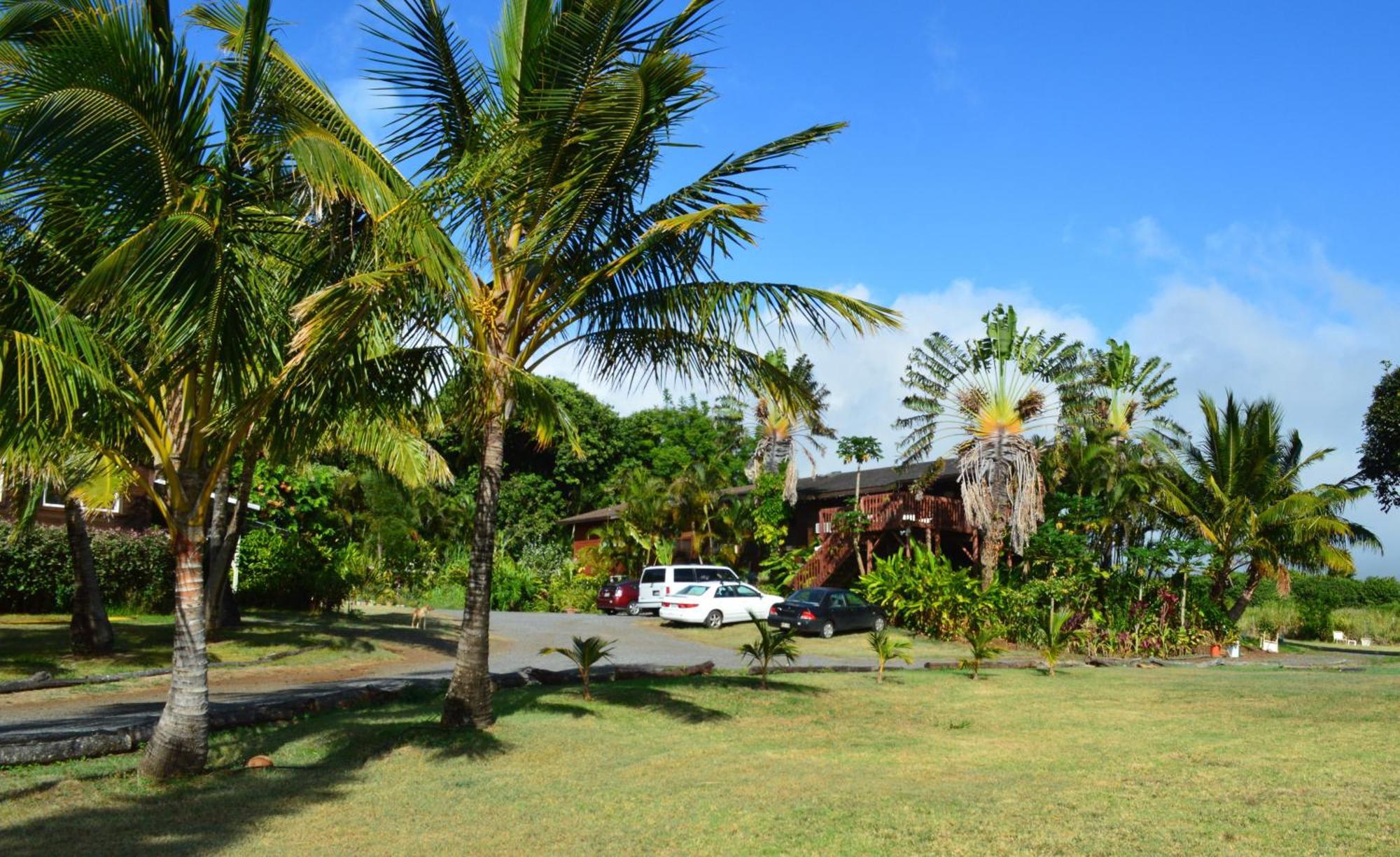 God'S Peace Of Maui Bed and Breakfast Makawao Kamer foto
