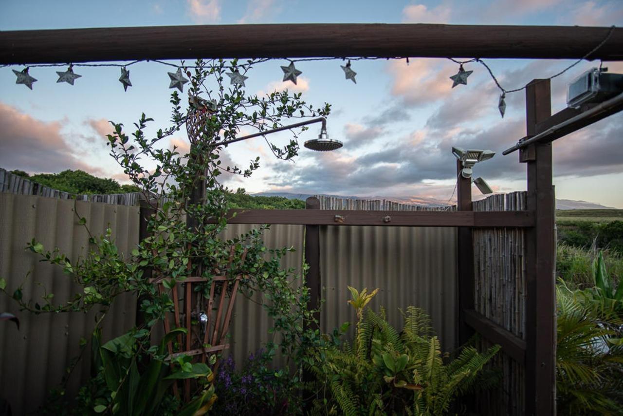 God'S Peace Of Maui Bed and Breakfast Makawao Buitenkant foto