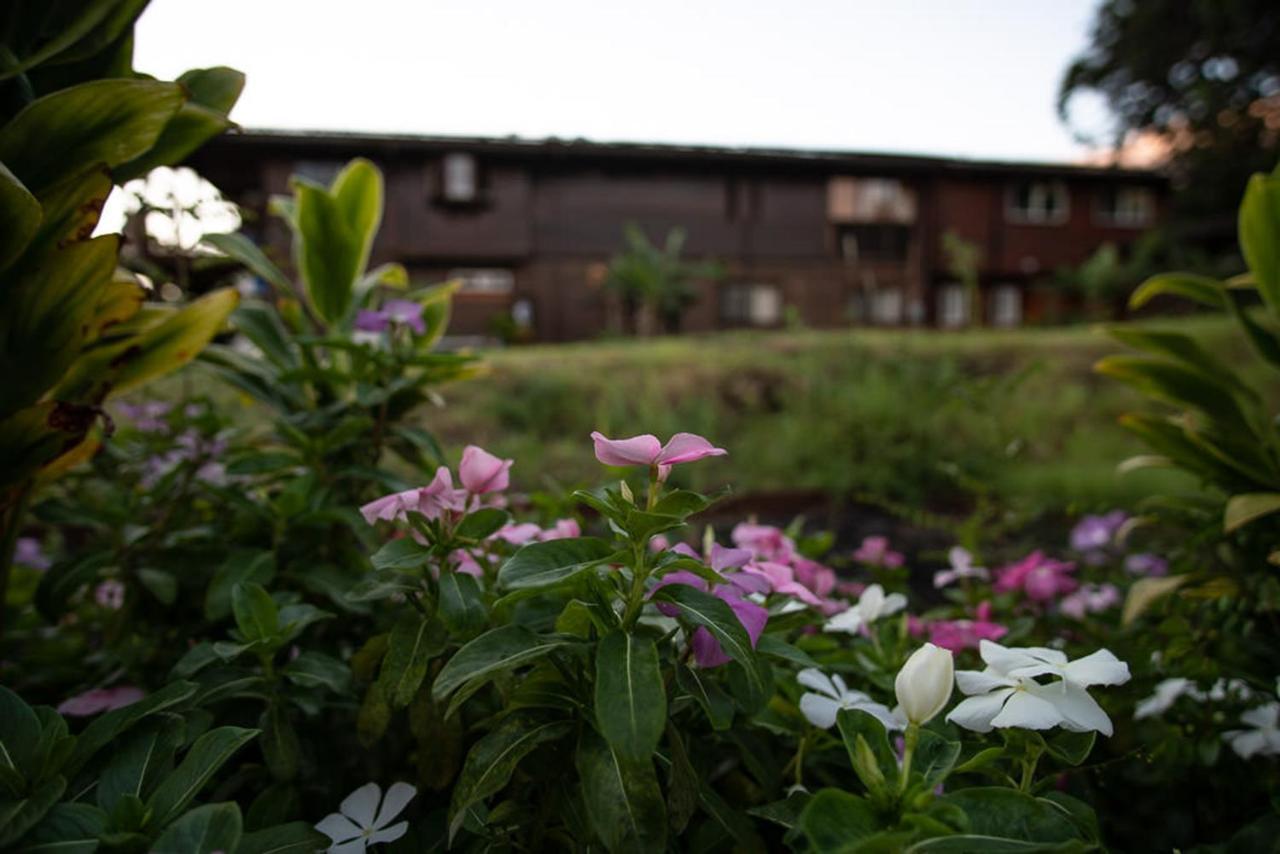 God'S Peace Of Maui Bed and Breakfast Makawao Buitenkant foto