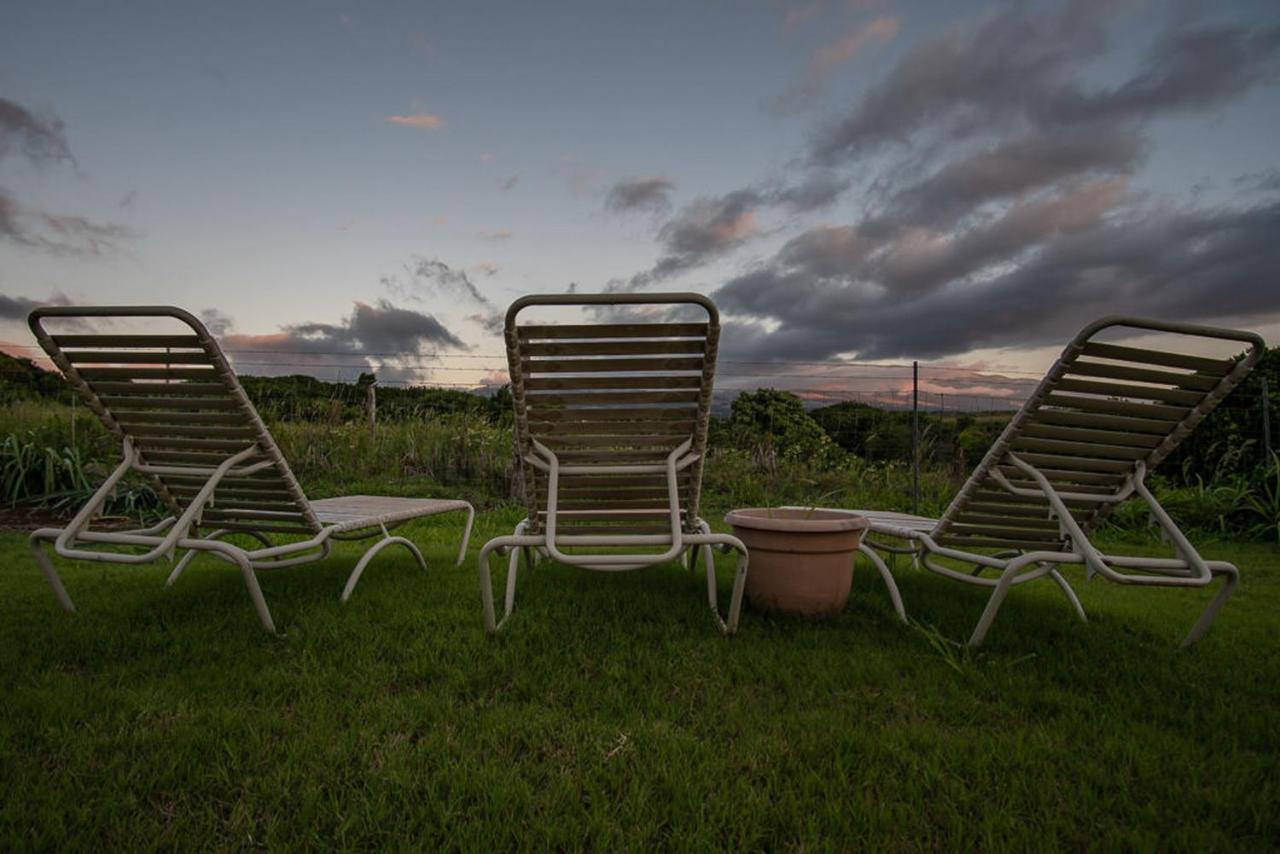God'S Peace Of Maui Bed and Breakfast Makawao Buitenkant foto