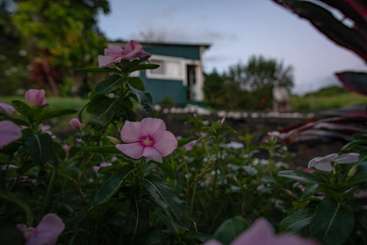 God'S Peace Of Maui Bed and Breakfast Makawao Buitenkant foto