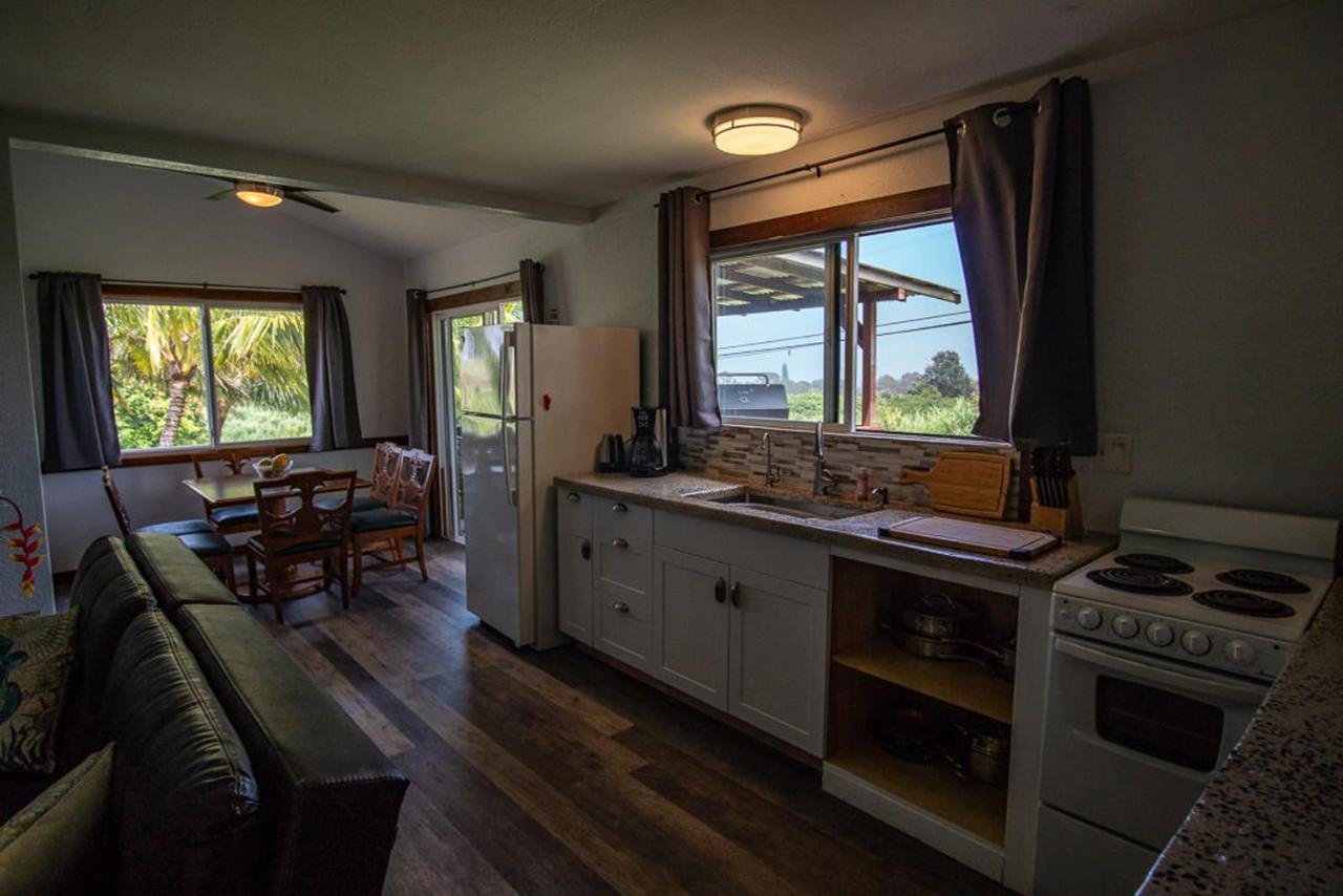 God'S Peace Of Maui Bed and Breakfast Makawao Buitenkant foto