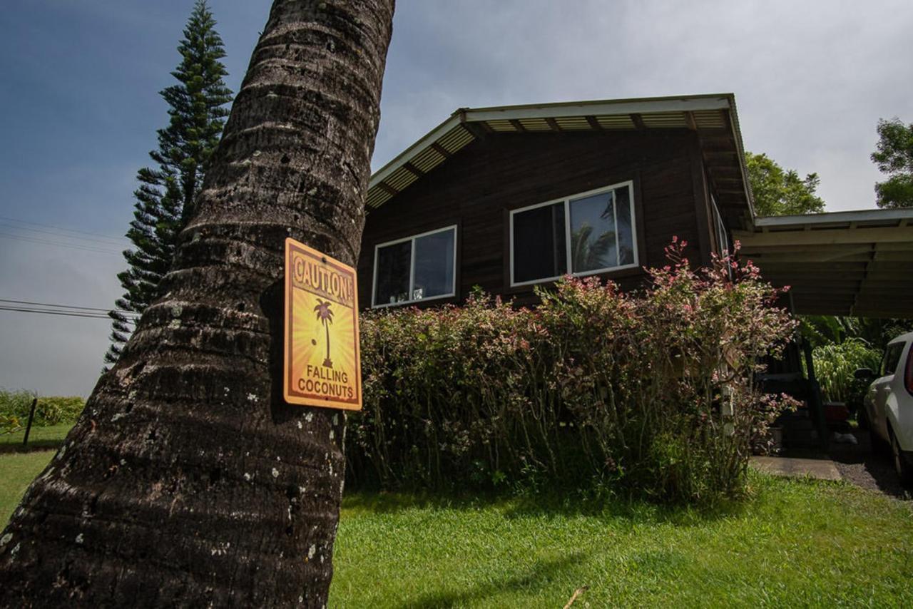 God'S Peace Of Maui Bed and Breakfast Makawao Buitenkant foto